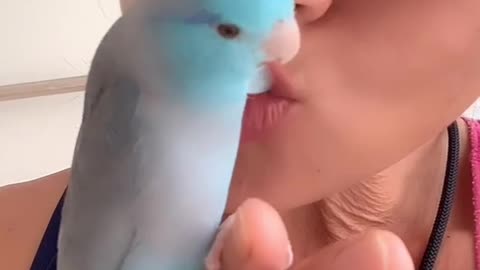 Cute birdie