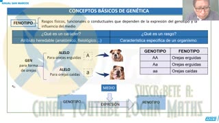 ANUAL ADUNI 2023 | Semana 13 | Biología S2 | Álgebra S2 | Química S2