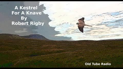 A Kestrel For A Knave by Robert Rigby