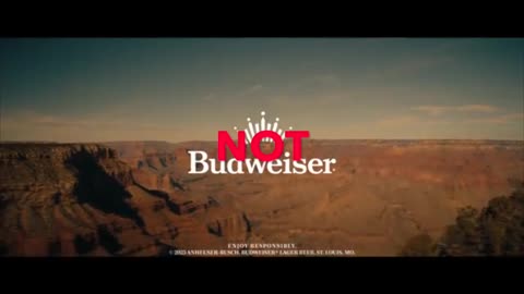 Budweiser NOT For You