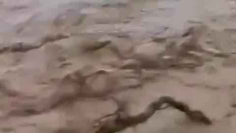 Iranian river BURSTS banks following heavy rains #shorts
