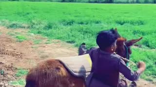 Neza bazi funny video