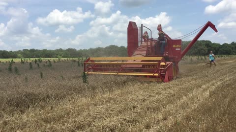 Massey Harris 21A combine