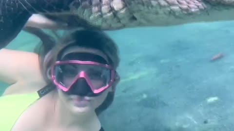 Girl swimming with Big Crocodiles
