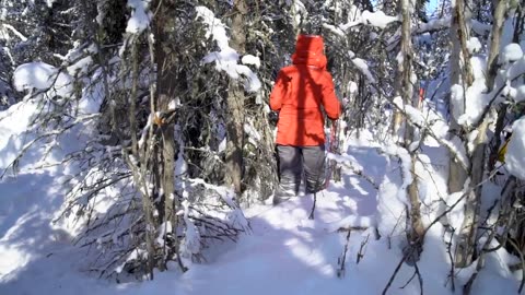 The Science of Snow: Digging for Data