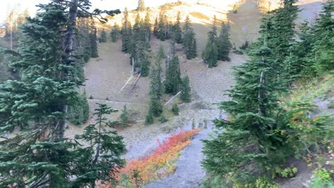 Oregon – Mount Hood – Alpine Approach to Incredible Zig Zag Canyon – 4K