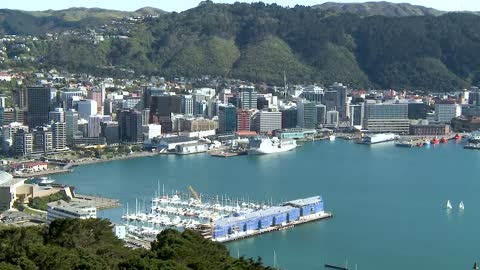 Best Places to Eat and Drink in WELLINGTON, North Island, New Zealand _ Tour Guide Interview