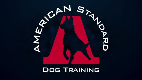 American Standard Dog Training