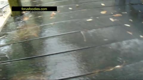 How to Clean a Wooden Deck THE EASY WAY