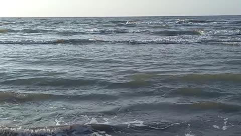 Sea