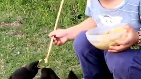 Sweet baby give food to birds