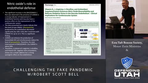 Challenging the Fake Pandemic - w/Robert Scott Bell