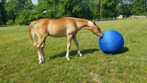 Blue ball magic