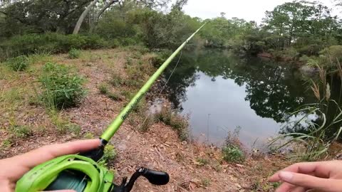 TOPWATER Fishing Showdown in LOADED Ponds (BIG BASS)