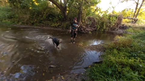 Great VR of Lilly jumping and splashing in the Creek