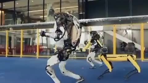 Boston Dynamics Terminator Bot Evolution 2009-2022