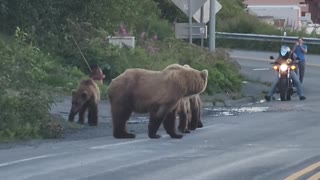 Traffic is Unbearable