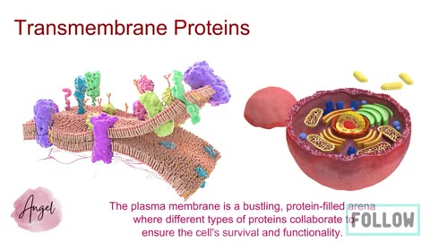 Membrane Proteins Explored_ Introduction to membrane proteins