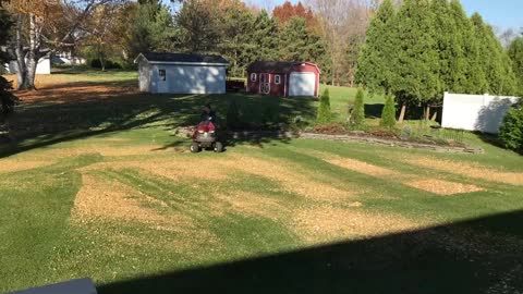 Time lapse of Mulching leaves