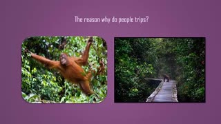 Why do people trips?