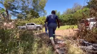 LARGE AFRICAN PYTHON CAUGHT IN HARARE SURBUB OF ZIMBABWE