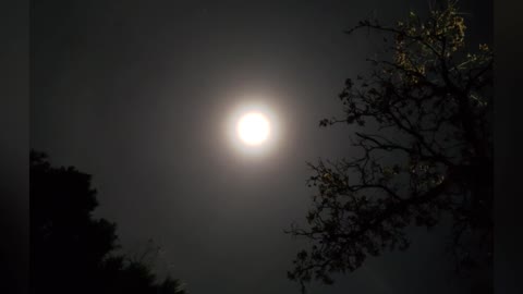 Full Blood Moon seen in the White mountains Arizona