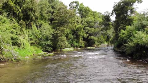 Drone view is a river in the forest