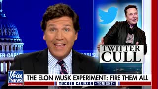 Tucker Carlson Applauds Elon Musk For Shrinking Twitter’s Workforce