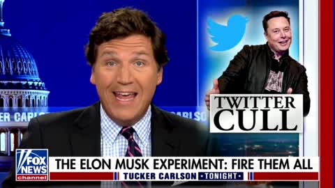 Tucker Carlson Applauds Elon Musk For Shrinking Twitter’s Workforce