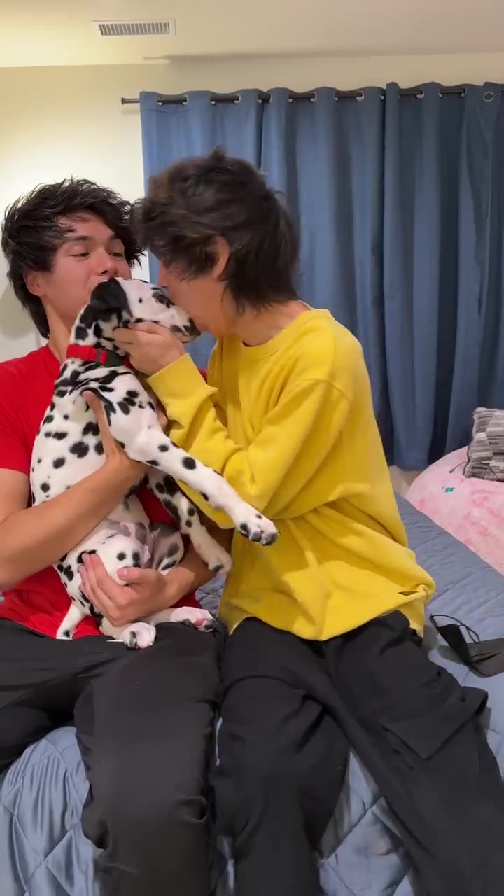 I Bought The World S Rarest Puppy