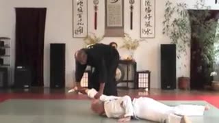 Grand Master David Herbert Of The World Martial Arts Center Brooklyn N.Y.