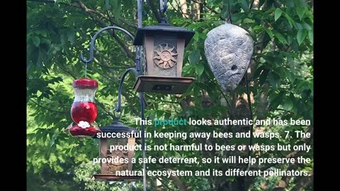 Customer Comments: AIRCROW Wasp Out Fake Hornet's Nest Decoy Wasp Deterrent