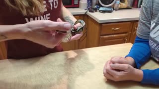 Ball Python Scale Rot Treatment & Checking For RI PRT Two