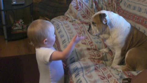 Baby Has Engrossing Conversation With Her Patient Bulldog