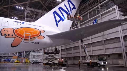 ANA A380 _FLYING HONU-A383A