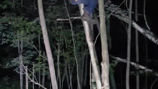 Tree Swinging Fail