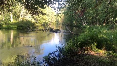 A walk along the river.