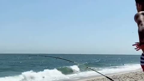 💪🏽All in💪🏽 #fishing #fish #florida #longisland #shark #newyork #beach #sharkfishing #ny #viral