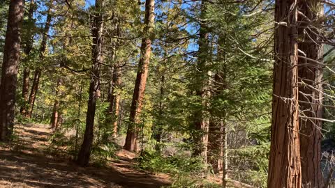 Walking Through a River Wonderland – Metolius River – Central Oregon