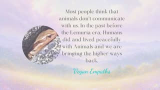 💚 Magical encounter - Vegan Empaths