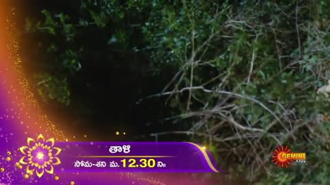 Thaali - Promo | 27 Dec 2022 | Gemini TV Serial | Telugu Serial