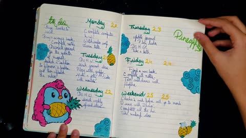 My 2020 bullet journal flip through