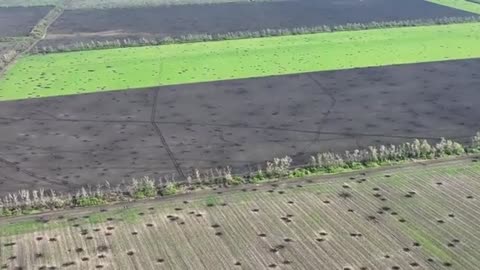 This is what the fields in the Kharkiv region look like after Russian shelling!