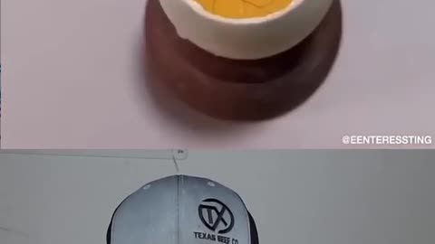 Transformation, From Egg To Chick. Incredible. Must Watch