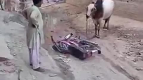 Accidents happening on Bakrid in Muslims community