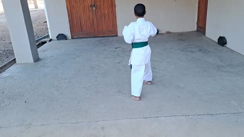 B64 - Juhayne Faroa - Green - Pinan Nidan