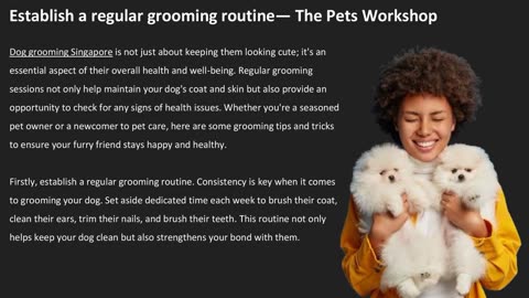 Establish a regular grooming routine — The Pets Workshop