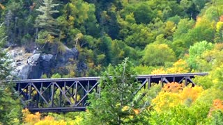 Trestle Bridge