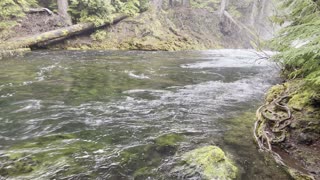 Admiring Gorgeous McKenzie River – Sahalie Falls & Koosah Falls Loop – Central Oregon – 4K