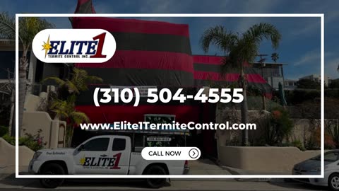 Affordable termite removal | Call (310) 504-4555 * Elite1Termite Control